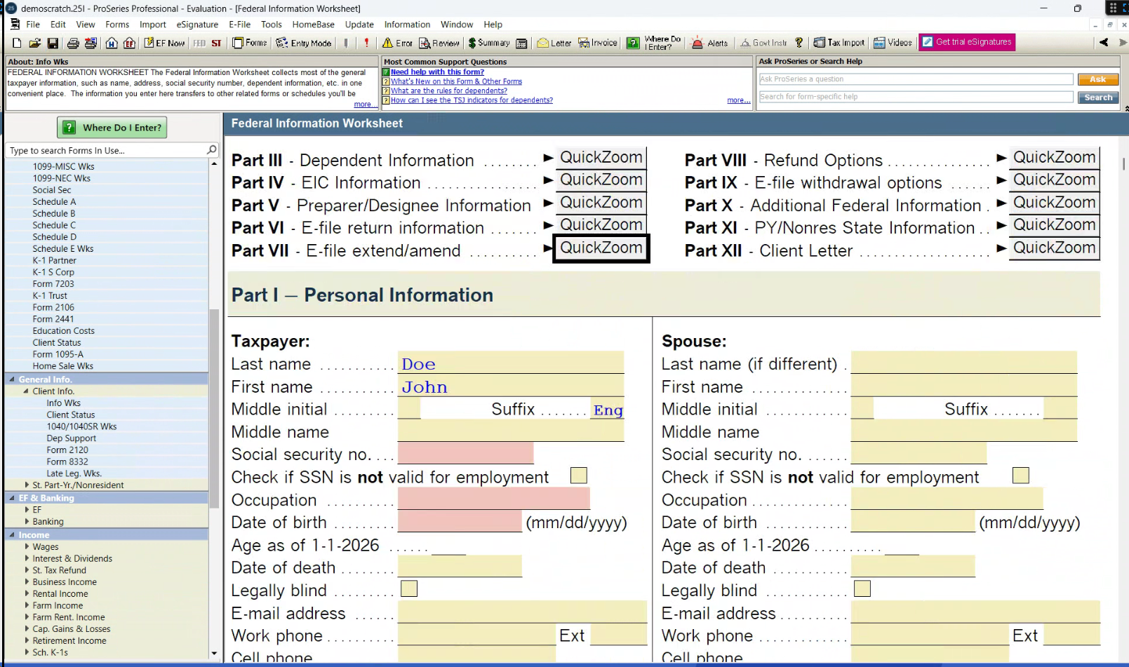 ProSeries Federal Information data entry